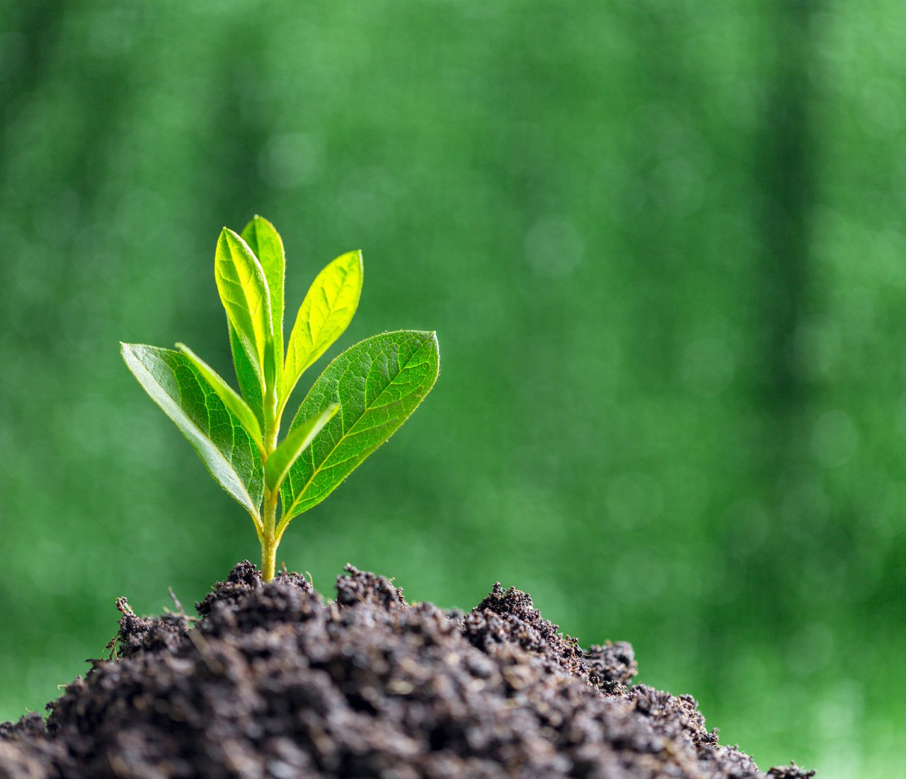 Green Sleeping: Sustainable Tips for Using CPAP Machines – CPAPnation