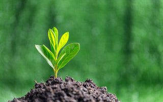 Green Sleeping: Sustainable Tips for Using CPAP Machines - CPAPnation