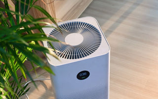 How Do Air Purifiers Clean the Air Around Them? - CPAPnation
