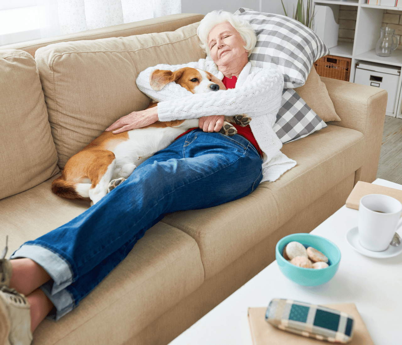 The Turkey Nap Myth: Science Behind Post-Thanksgiving Sleepiness ...