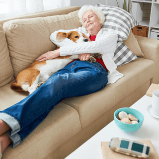 The Turkey Nap Myth: Science Behind Post-Thanksgiving Sleepiness - CPAPnation